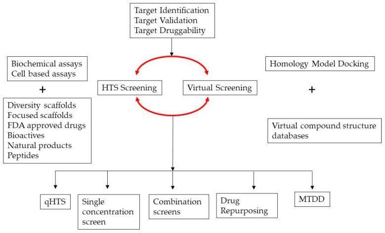 1-1 Ionic Screening Service-3.jpg